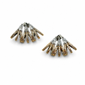 Two Tone Earrings