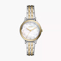 Fossil Laney Three-Hand Two-Tone Stainless Steel Watch