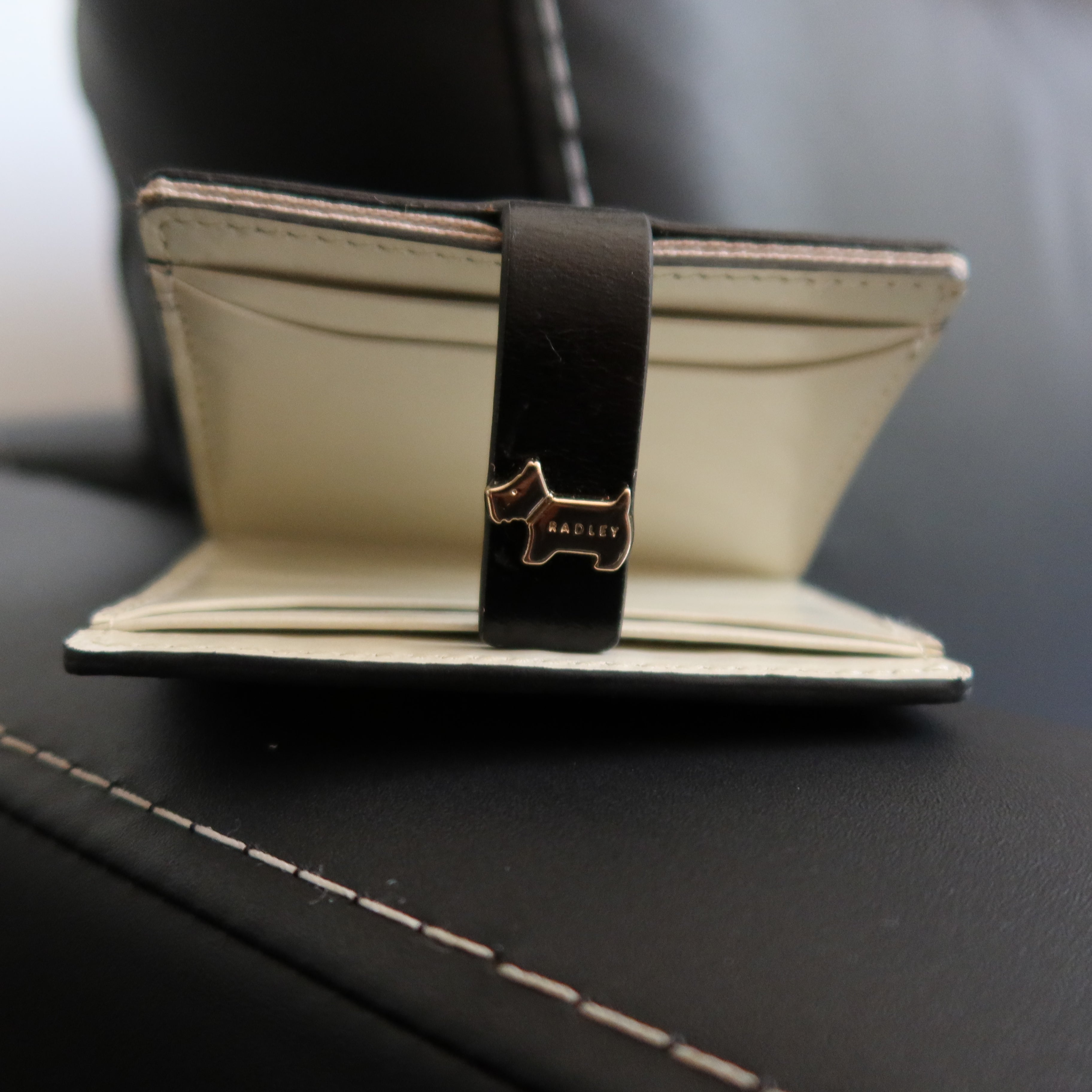 RADLEY LONDON Small Black Newick Road Card Holder
