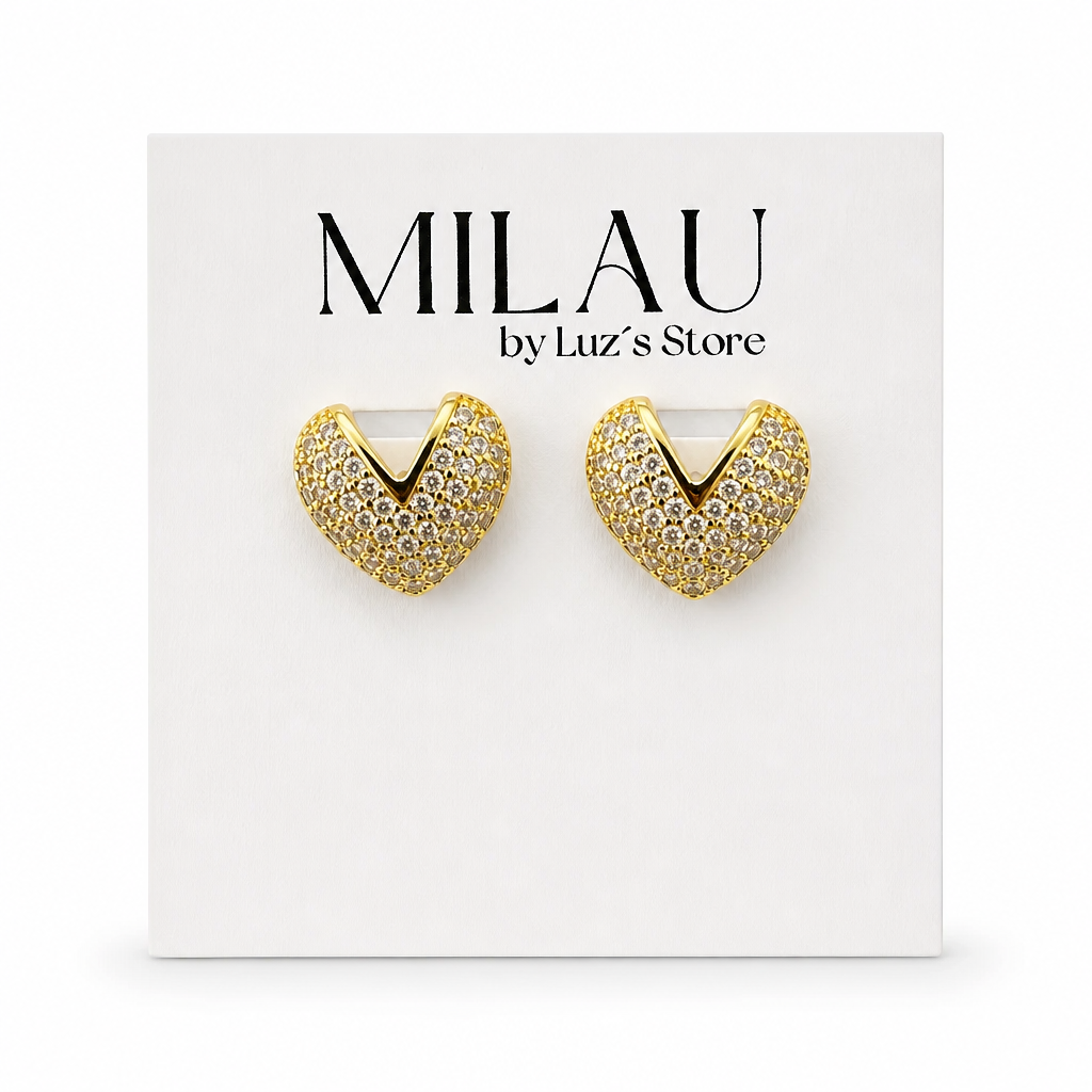 Two Tone Earrings