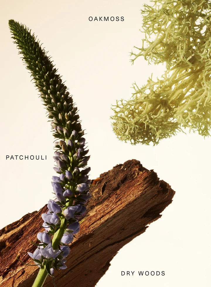 Rare Beauty Fragrance Layering Balm - Woody Oak