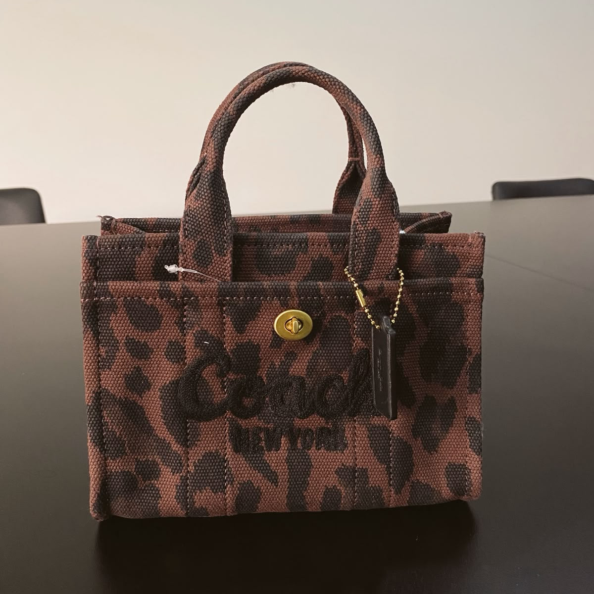 Cargo Mini Canvas Leopard Print Tote Bag 20