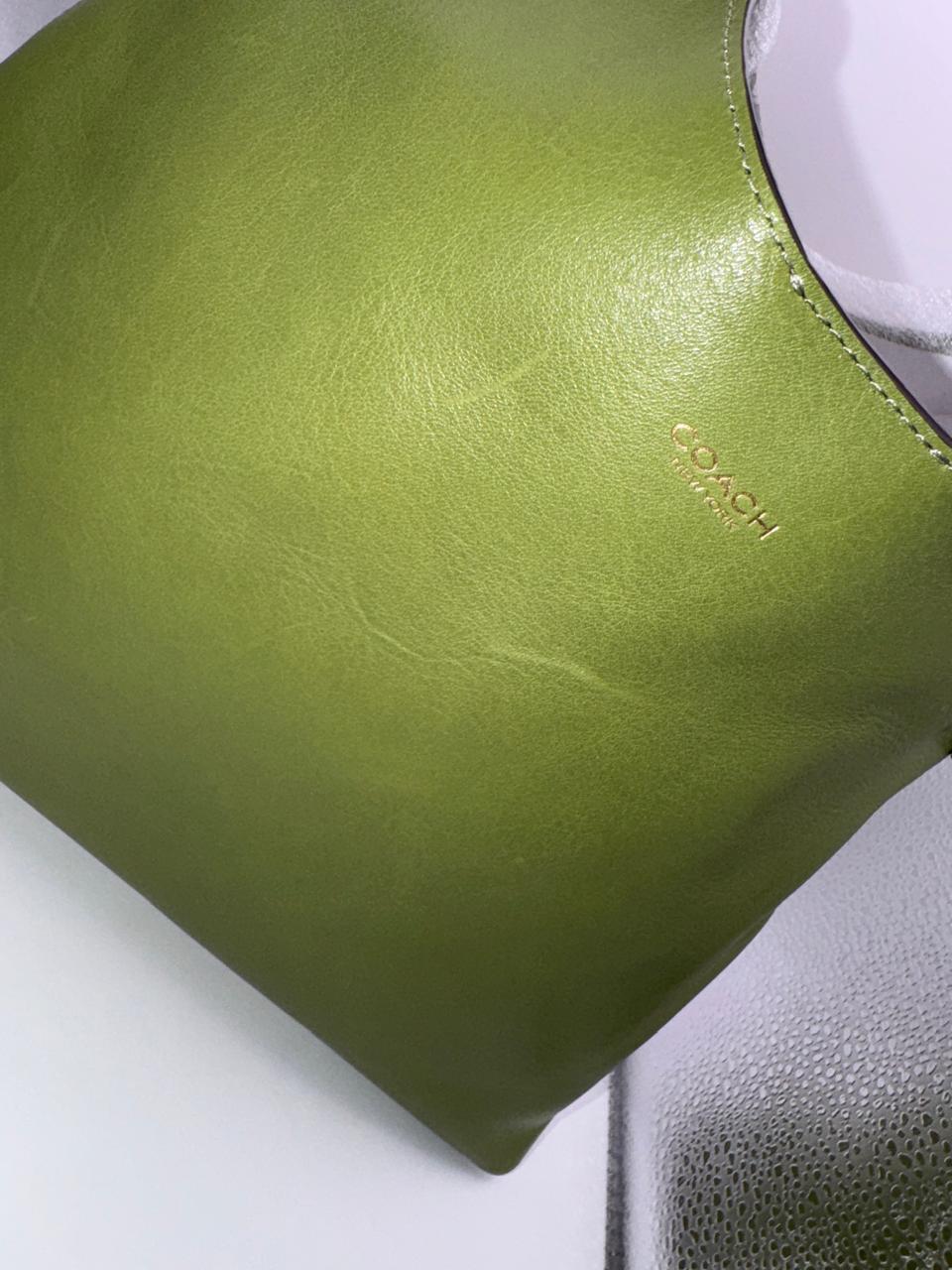 COACH Brooklyn Shoulder Bag 39