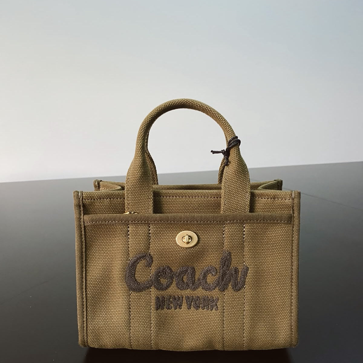 Cargo Mini Canvas Tote Bag 20